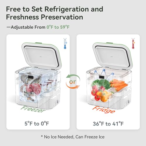 Portable Car Refrigerator Compressor