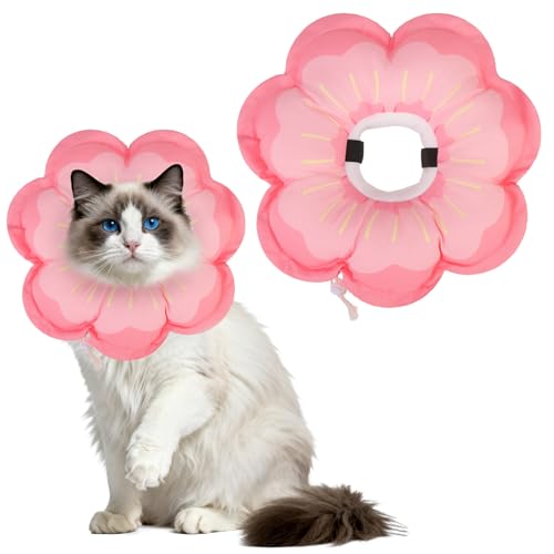EXPAWLORER Soft Cat Cone Collar