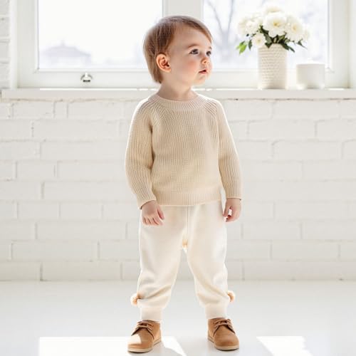 Toddler Baby Boy Girl Knit Sweater Basic Crew Neck Long Sleeve Solid Pullover Sweatshirt Fall Winter Outfit3