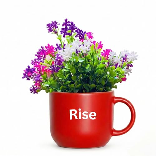 Image of Dekorly Wall Hanging Mug Planters with Artificial Flowers (20CM) - Decorative Hanging Cups, Colorful Floral Wall Decor for Living Room Bedroom Balcony Office Gift Set (3, Rise Shine Succeed)
