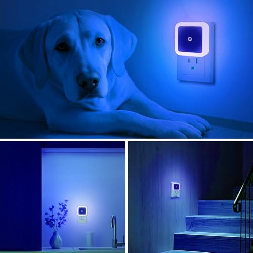 6 Pack Blue LED Night Light Plug in, Dusk to Dawn Sensor Automatic On and Off, Energy Efficient, Soft Glow Kids, Nursery, Bedroom, Bathroom, Hallway, Stairs, Kitchen - image 6