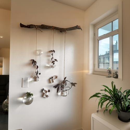 Propagation Station, Plants Terrarium, Plants Lover Gifts for Women,Plant Cutting Holder Home dรฉcor,Gifts for Women,House Warming New Home-3 Geometric Shape Propagation Station, Plants Terrarium, Plants Lover Gifts for Women,Plant Cutting Holder Home dรฉcor,Gifts for Women,House Warming New Home-3 Geometric Shape