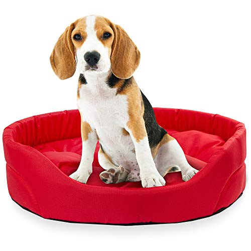 BOUTIQUE ZOO Hundebett | Oval Hundekissen für Kleine Hunde oder Katzen | Kratzfest Hundeliege mit Kissen | Hundekorb | Waschbar Polyester | Große: S (46x40 cm) | Farbe: Rot