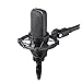 Audio-Technica Cardioid Condenser Microphone (AT4033A)