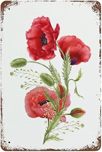 351 Cartel De Chapa Amapolas De Flores De Verano Letrero De Estaño Retro Placa Decoración Vintage Metal Cartel Para Tienda Cafetería Jardín 20x30cm