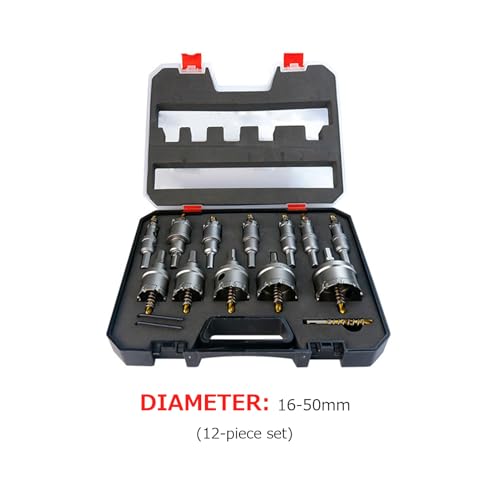 Kit de Sierra de Agujero de Carburo, 12 Piezas miniatura 3