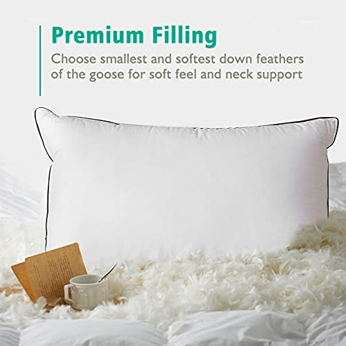 Apsmile Goose Feather Down Pillows -Set Of 2 Soft Medium Bed Pillows For Sleeping 100% Organic Cotton Standard Size Hotel-Quality Pillows Insert For Stomach/Back Sleepers #TOP5