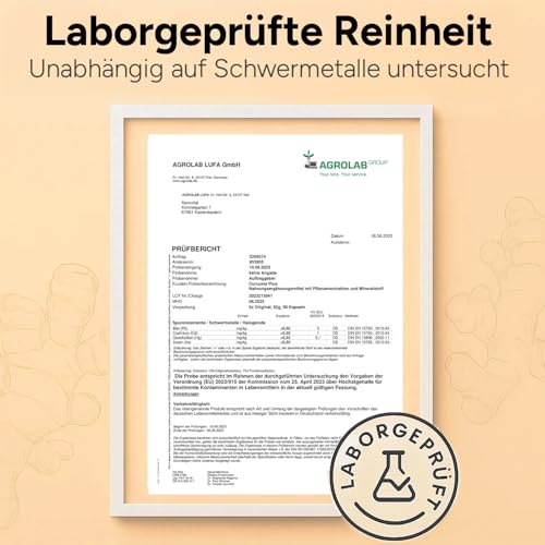 Kurkuma Ingwer Kapseln hochdosiert - Mit Curcuma Extrakt, Gerstengras, Kurkuma Pulver, Ingwer, Piperin, Curcumin - 90 vegane Kapseln - Alternative zu Tabletten