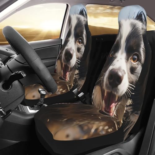 Housses de siège auto Border Collie idéales pour les voyages en famille et SUV