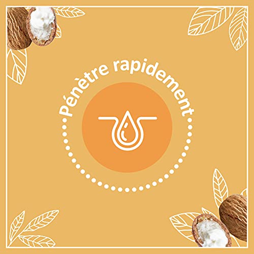 Le Petit Marseillais | Soin Lèvres Nutrition Lèvres Desséchées (2 tubes de 4,9 g) – Baume à lèvres au beurre de karité, amande douce et huile d'argan – Stick à lèvres nourrissant