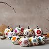 AmazingSpark 117 Pcs DIY Fall Foam Pumpkin Craft Kit with 9 White Foam Artificial Pumpkins Art and 108 Dried Pressed Flowers for Girl Night Craft Fall Thanksgiving Activity Supplies #4