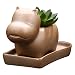GeLive Decorative Ceramic Plant Flower Pot Succulent Planter with Tray Saucer (Pottery Hippo)