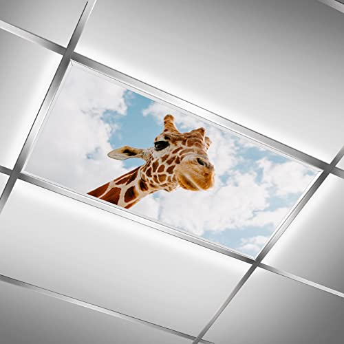 Image of Fluorescent Light Covers for Classroom Ceiling Lights - 2x4ft Backlit Film for Fluorescent Fixtures, Easy to Install - School, Office, Sensory, Improve Focus, Eliminate Headaches - Giraffe