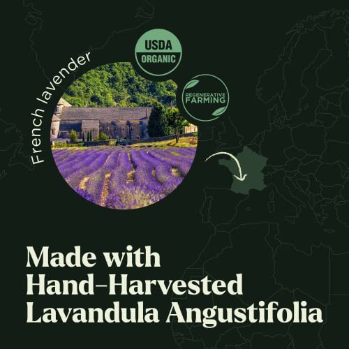 Lavender Essential Oil - 100% Organic Natural Pure Oils For Diffusers, Humidifiers, Aromatherapy, Massages, Yoga, Home Essentials, Office - Relaxing Fragrance Scents For Body, Skin Care & Hair (150Ml) #TOP4