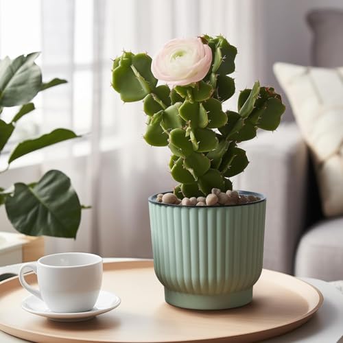 T4U 15cm Self Watering Plant Pots Indoor, 6 Pack Indoor Plant Pot, Green Plastic Flower Pots, House Plant Pots for Indoor Outdoor Plants, Succulent, Cactus, African Violets, Spider Plants - Cosy Home Interiors T4U 15cm Self Watering Plant Pots Indoor, 6 Pack Indoor Plant Pot, Green Plastic Flower Pots, House Plant Pots for Indoor Outdoor Plants, Succulent, Cactus, African Violets, Spider Plants - Image 8