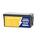 POERUNI.12.8V 300Ah LiFePO4 Battery, Lithium Iron Phosphate Deep Cycle Battery for RV, Solar, Marine, Trolling Motor, 3840Wh Power, 10+ Year Lifespan, Built-in BMS（Easy to Carry）