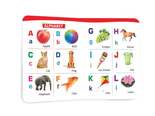 Image of All In One Early Learning Board Book For Kids to Learn Alphabet, Numbers, Shapes and Colours, Transport, Birds and Animals, Professions, Opposite , Parts of the body and Objects Around Us.