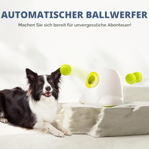 ALL FOR PAWS Automatischer Hundeballwerfer, Wiederaufladbarer Ballwerfer für große Hunde, Interaktive Tennisballwurfmaschine für Hunde, Apportierspielzeug für Welpen, mit 3 Bällen