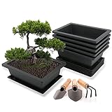 Diseño recto: las macetas de entrenamiento para bonsái con diseño rectangular pueden ofrecer un gran espacio para su crecimiento de plantas, es ideal para el cultivo de plantas en maceta. Se puede mezclar y combinar fácilmente en cualquier entorno y se puede utilizar como decoración creativa para ahorrar espacio en el interior.