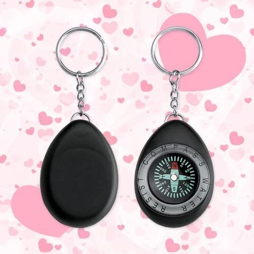 DEZIINE®1pcs Magnetic Compass Oval Shape Navigation Compass Keychain(Colour AS PER Availability) (B0B3TNMJSR) Amazon Price History, Amazon Price Tracker