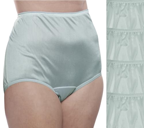 Image of Teri Women's 331 Plain Jane Classic Nylon Silky-Smooth Lightweight Breathable Full Coverage Brief Panty - 4 Pack