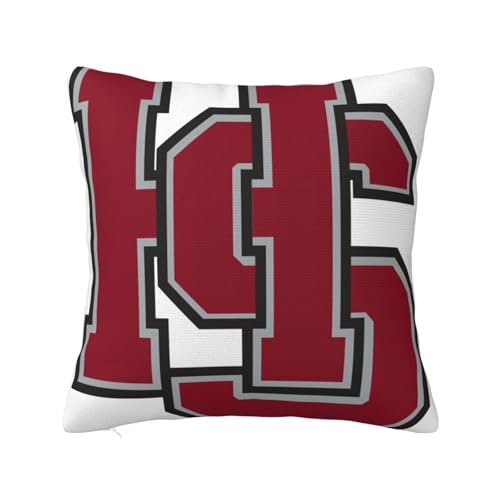 Hampden Sydney College Throw Pillow Cover 16"x16