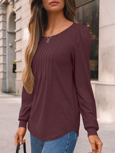 Womens Long Sleeve T-Shirts Dressy Business Casual Tops Tunic Fall Fashion Crewneck Blouse Trendy Winter Outfits 20253