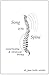 Song Of The Spine