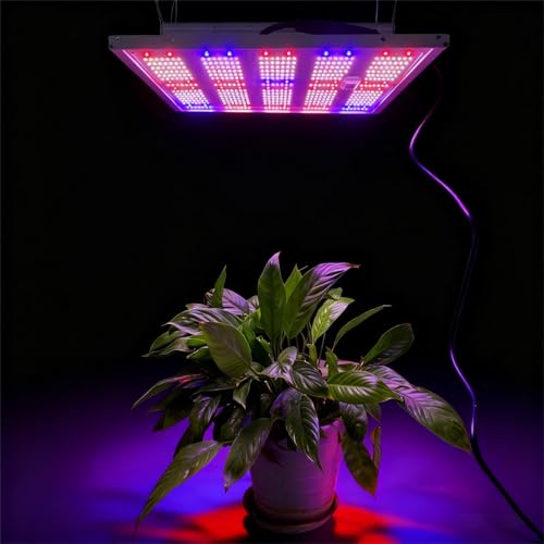 chaiseivy LED Grow Light Panel for Indoor Plants 100W Full...