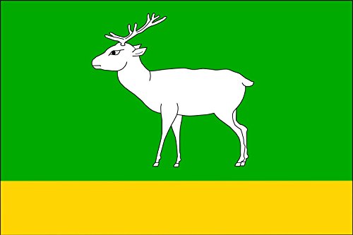 Drapeau Large Blazkov bicolore idéal pour animer vos événements - 2