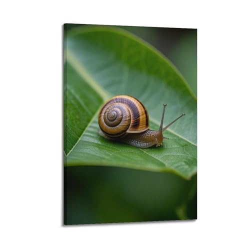 Décoration murale artistique moderne feuille et escargot ZHOUKEG 40x60 cm