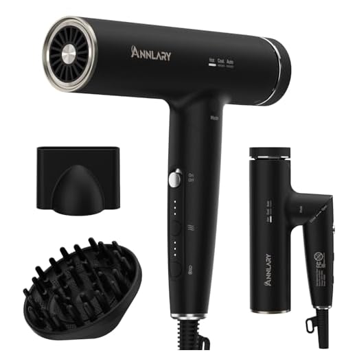 ANNLARY Plasma Ion High-Speed Hair Dryer