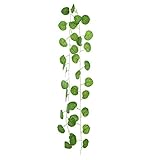 5.Lifelike pour FAKE FLOWERS IVY peut être utilisé pour - la maison, l'école, les décorations de fête, le mariage, la célébration du festival, la chambre de la maison.Vous pouvez l'accrocher au mur, bouquets de bricolage, décoration intérieure, décoration extérieure intérieure, jardin, bureau, porche, décoration de mariage, ces plantes seront un excellent choix pour vos pots, vases, contenants.