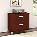 Bush Furniture 2 Drawer Lateral File Cabinet, Hansen Cherry