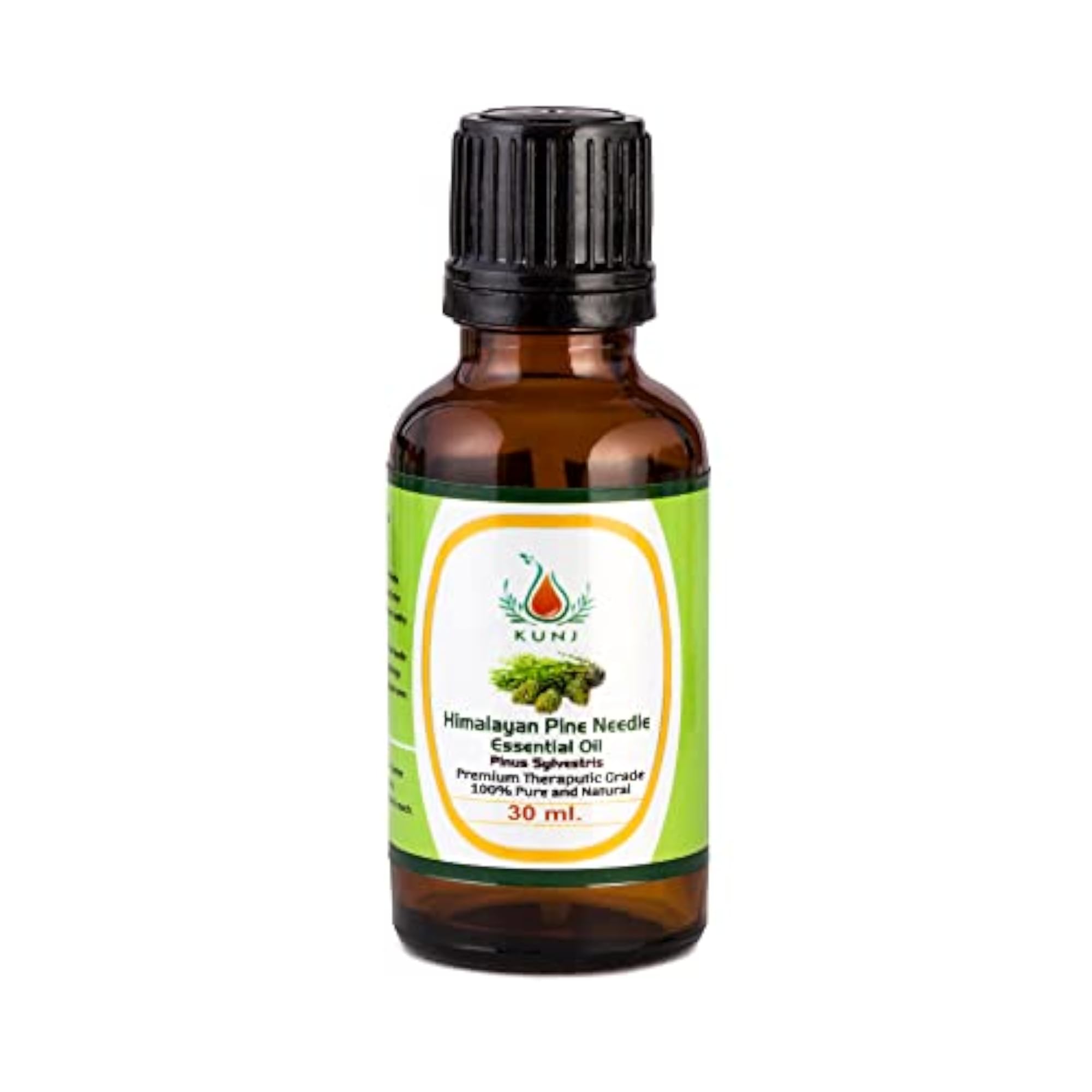 KUNJ Himalayan Pine Needle Essential Oil, 100% Pure & Natural