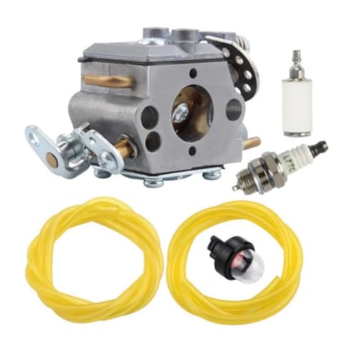 Carburateur 309376002 durable avec conduites de carburant pour gaz