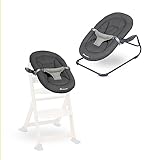 Bebeconfort Timba Baby - Hamaca 2 en 1, desde 0-6 meses, 0-9 kg, set recién nacido para trona, 2 posiciones de reclinación, asiento acolchado, arnés de 3 puntos, Tinted Graphite (Gris)