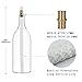 JK LUMI Wine Bottle Torch Wicks,Bottle Torch Kit,Patio Torch Lights Oil Lamp Kit,Citronella Torch,Outdoor Garden Torches,DIY Torch Hardware Kit -6 Fiberglass Wicks,6 Brass Mounts(Bottle not Included)