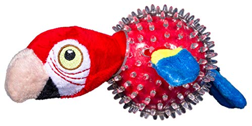 Spunky pup Brinquedo para cães Parrot Spiky Ball Squeaker | Bolas para cães com pontas de borracha p