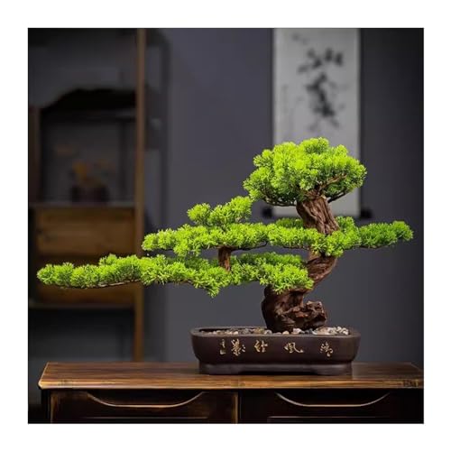 Bonsaï artificiel pin chinois pour verdir un salon sans lumière