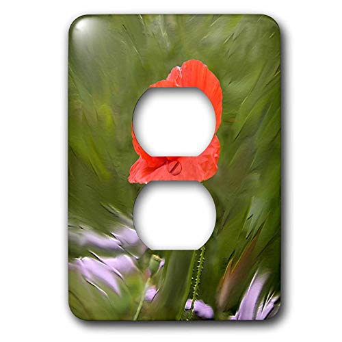 Champ coquelicot déco de salon champêtre avec la plaque double prise 3dRose