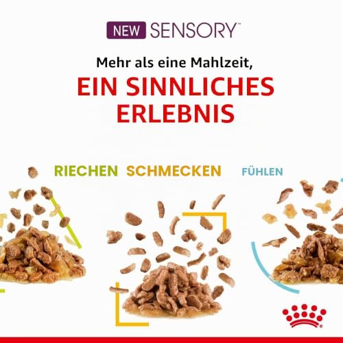 ROYAL CANIN Sensory Feel Wet Cat Food Chunks in Sauce 12 x 85 g – Ansicht 5