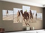 Acrylglasbilder 5 Teilig 200x100cm Sport Tier Kamel Kamele Dromedar Rennen Reiten Druck Acrylbild Acryl Acrylglas Bilder Bild 14F1121