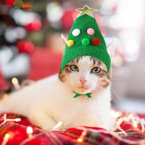 Haustier Weihnachtsmütze, Weihnachtskostüm Haustier Hund Katze, Niedlicher Plüsch Katzen Weihnachtsmütze mit Pompon, Weihnachtskostüm Hund, Perfekt Zum Verkleiden Von Haustieren zu Weihnachten (Grün)