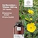 HealthyWorld® Tribulus Terrestris - Erd-Burzeldorn 1920 mg - 180 pflanzliche Kapseln - 90% Saponine - Pflanzenextrakt - Für über 2 Monate
