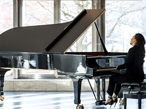 Daria van den Bercken