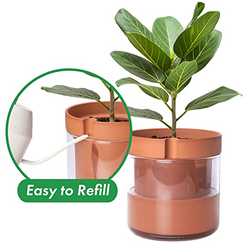 Phoenix Vine 8 Inch Self Watering Planter Pot, Terracotta Clay Pot with Glass Reservoir for Indoor Plants, Herbs, Flowers, 52-A-H