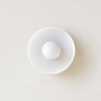 RUIBO Modern Round Ceiling Light,9.8" White Glass lampshade Bedside Lamp,Indoor Vintage LED Wall Lamps,for Entryway Hallway Aisle Balcony Living Room Bedroom Lighting FixturesWarm Light