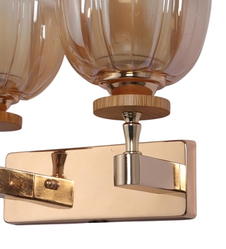Image of ELAINTE Premium Wall Light | | Elegant Glass Wall Lamp for Living Room & Hallway | 3 Years Warranty | Free Bulb (Tany-Double)
