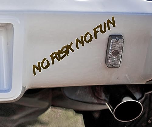 Adesivo per auto, motivo "No Risk No Fun", scritta tuning, adesivo per lunotto posteriore, automobilista, sport, daily, decorazione per auto, accessori per tuning per esterni (oro opaco)
